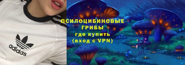 MESCALINE Гусев
