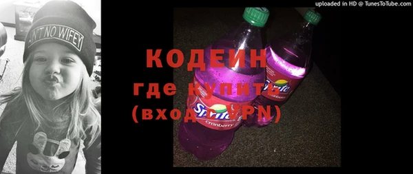 ECSTASY Гусь-Хрустальный