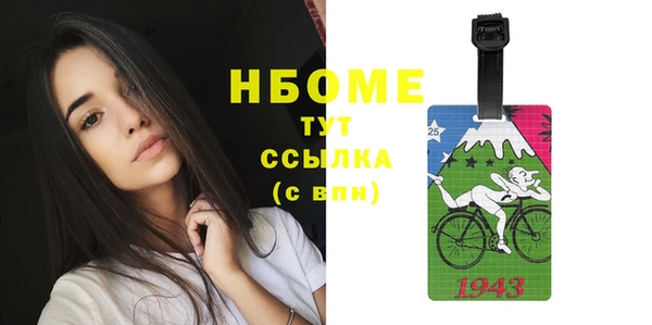 ECSTASY Гусь-Хрустальный