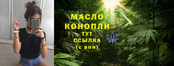 ECSTASY Гусь-Хрустальный