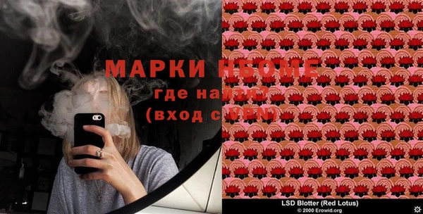 MESCALINE Гусев