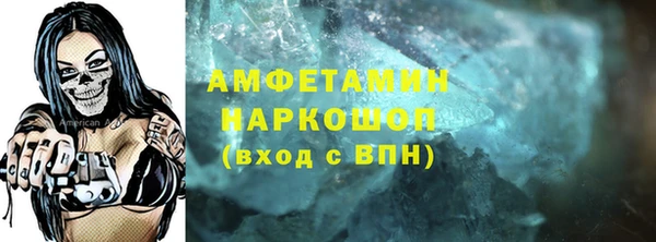 ECSTASY Гусь-Хрустальный