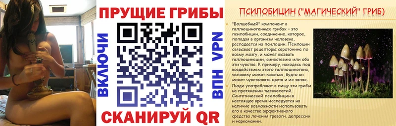 мега ссылки  Гусиноозёрск  Псилоцибиновые грибы Cubensis 